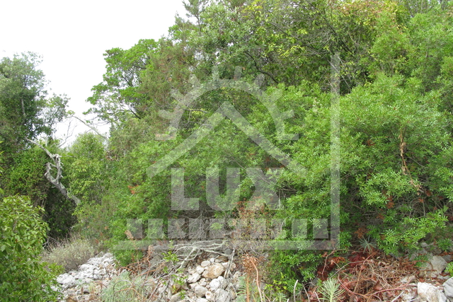 Building land 744 m2, Port on Dugi otok, 80 meters from the sea