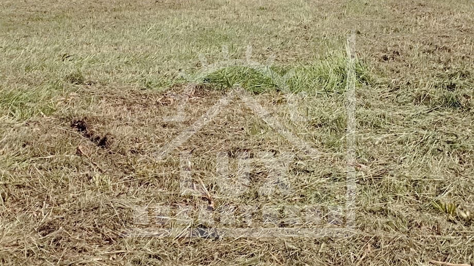 Gradbena parcela pravilne oblike, 1002 m2, Zadar (Bokanjac)