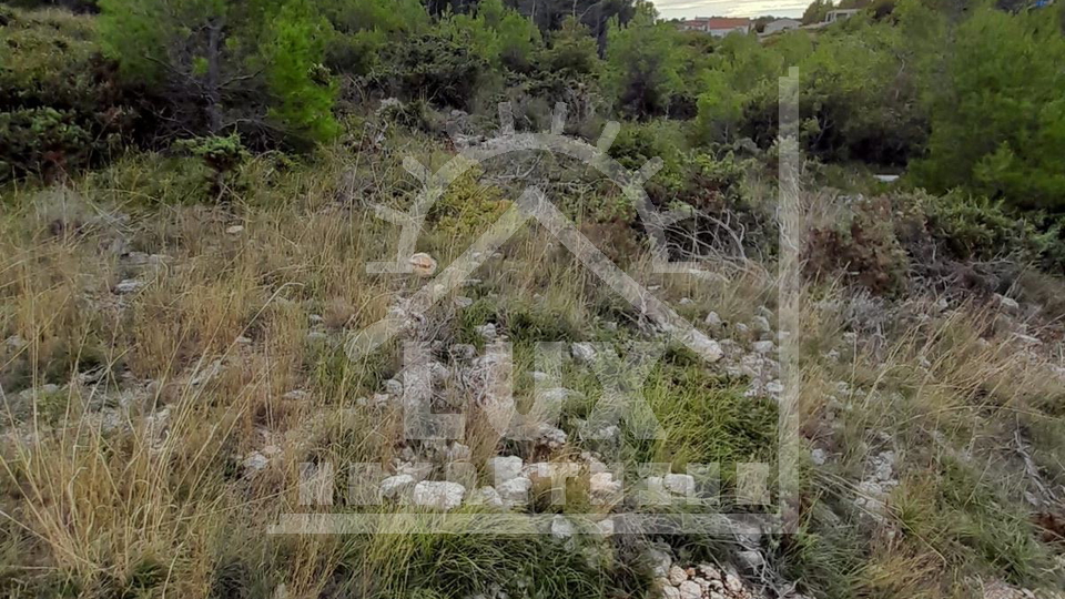 Gra&dstrok;evinsko zemlji&scaron;te 100 metara od mora&comma; Novigrad nedaleko Zadra