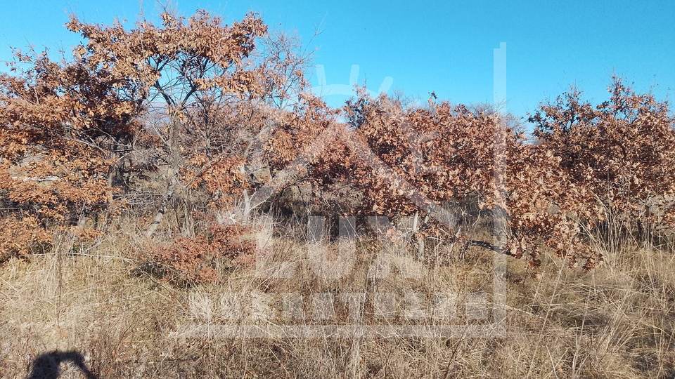 Land&comma; 2124 m2&comma; For Sale&comma; Benkovac - Islam Gr&ccaron;ki