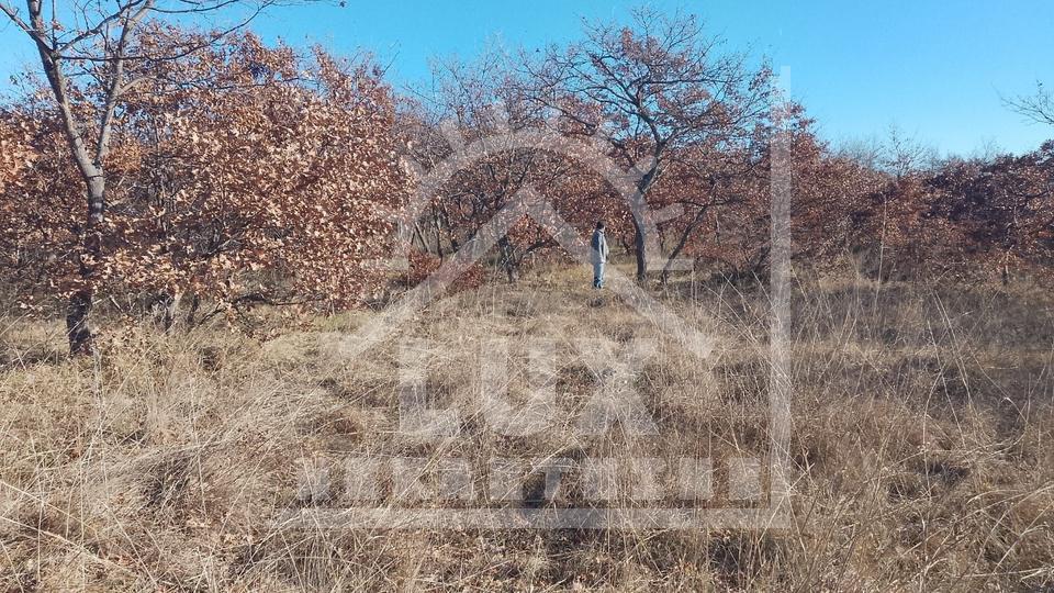 Land&comma; 2124 m2&comma; For Sale&comma; Benkovac - Islam Gr&ccaron;ki