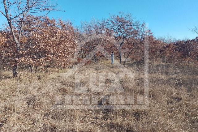 Land, 2124 m2, For Sale, Benkovac - Islam Grčki