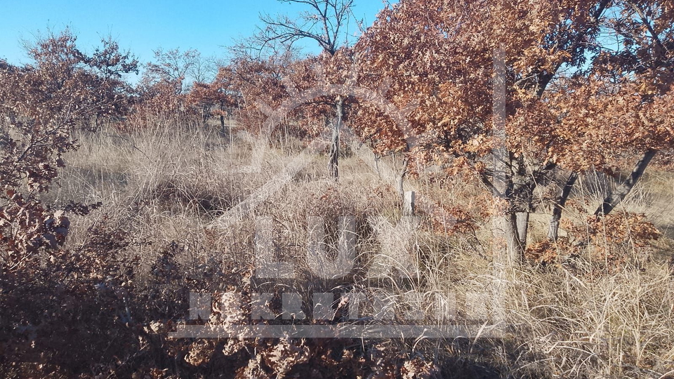 Land&comma; 2124 m2&comma; For Sale&comma; Benkovac - Islam Gr&ccaron;ki