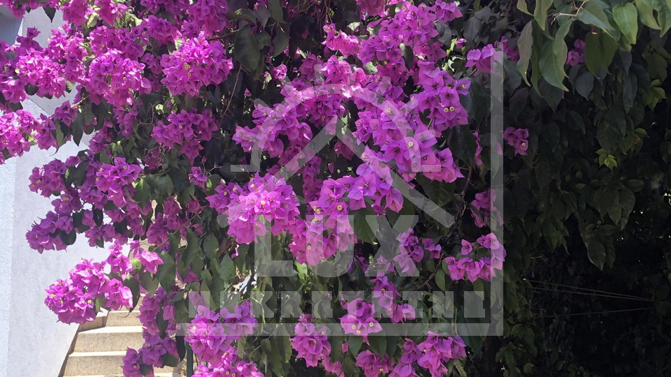 Samostoje&cacute;a ku&cacute;a pov&period; 200 m2 100-ak metara od mora&comma; Ugljan &lpar;Kali&rpar;