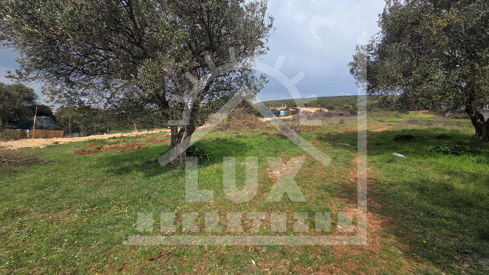 Zemlji&scaron;&ccaron;e&comma; 500 m2&comma; Prodaja&comma; Sveti Filip i Jakov - Sveti Petar na Moru