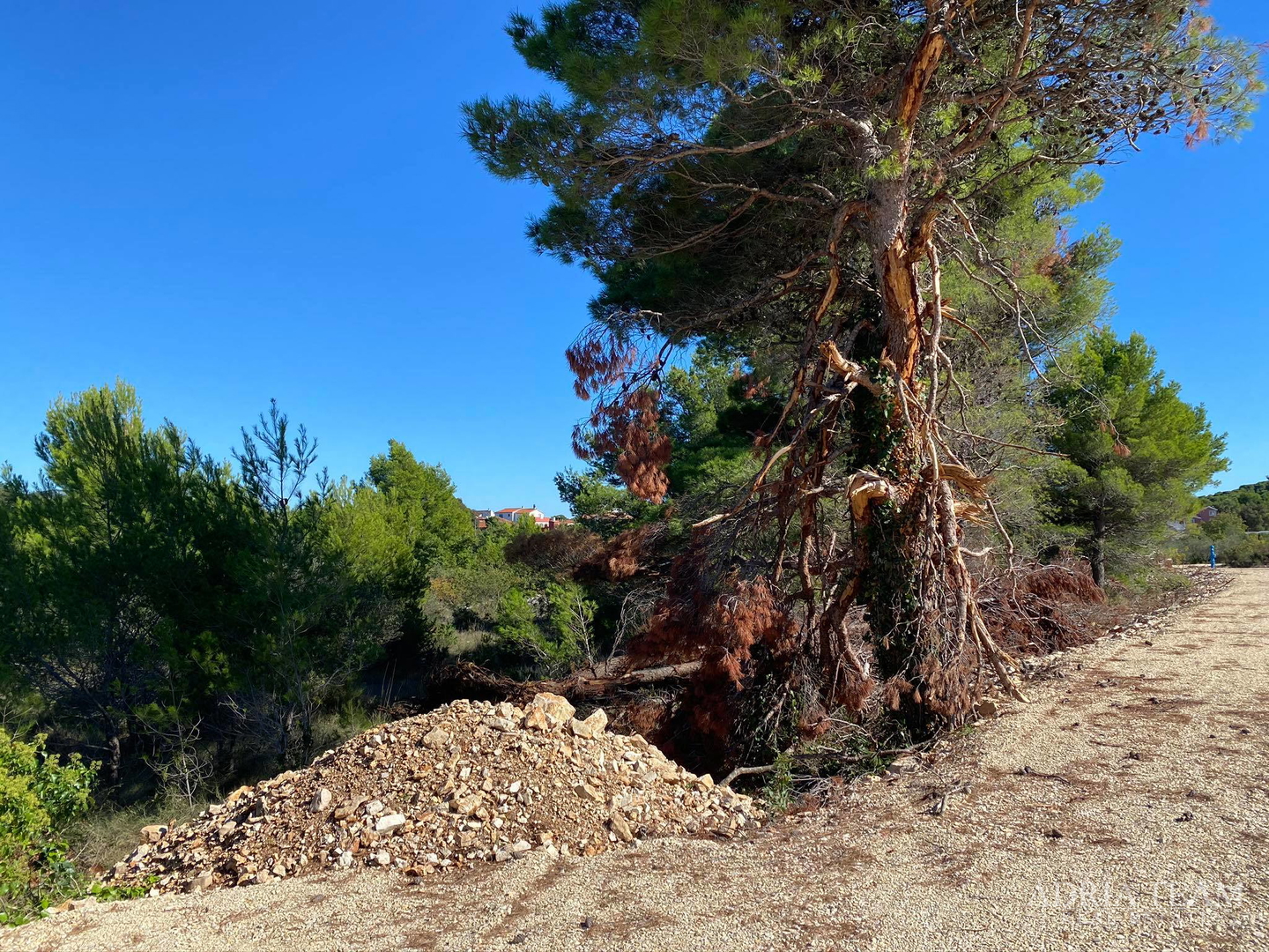 BUILDING LAND, QUIET AND PEACEFUL LOCATION, DRAGE - PAKOŠTANE