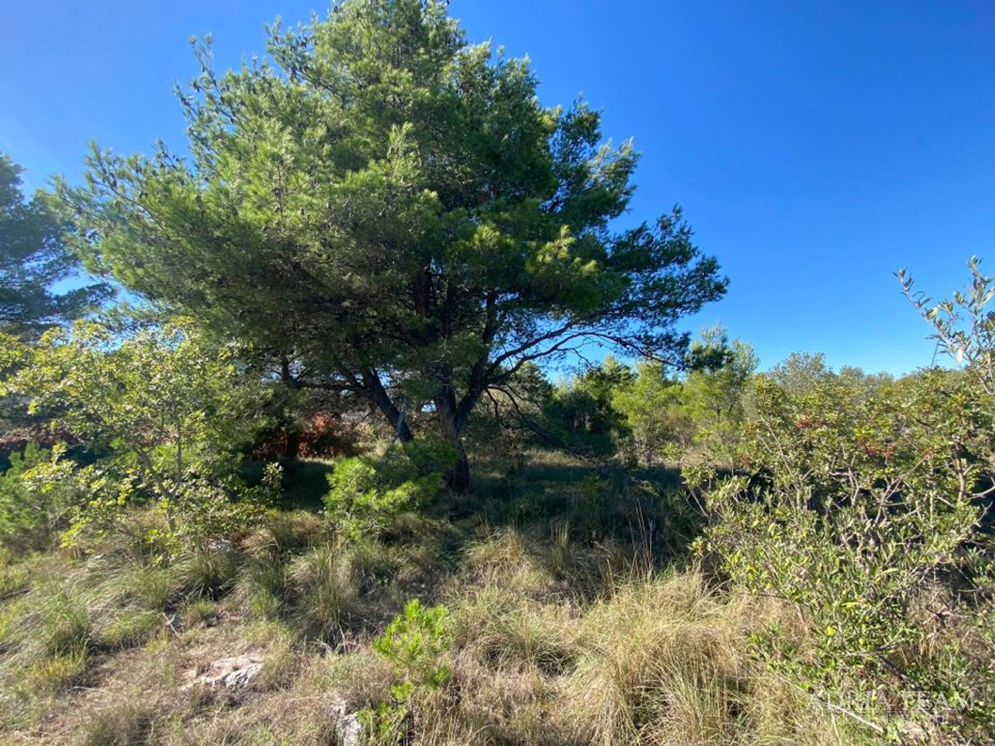 BUILDING LAND, QUIET AND PEACEFUL LOCATION, DRAGE - PAKOŠTANE