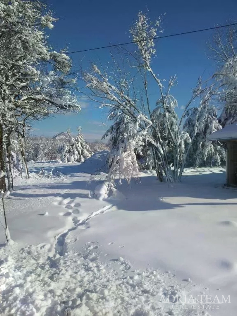 PROPERTY WITH A LUXURY VILLA WITH HEATED POOL AND COVERED TERRACE - 10,000 m2 OF LAND!