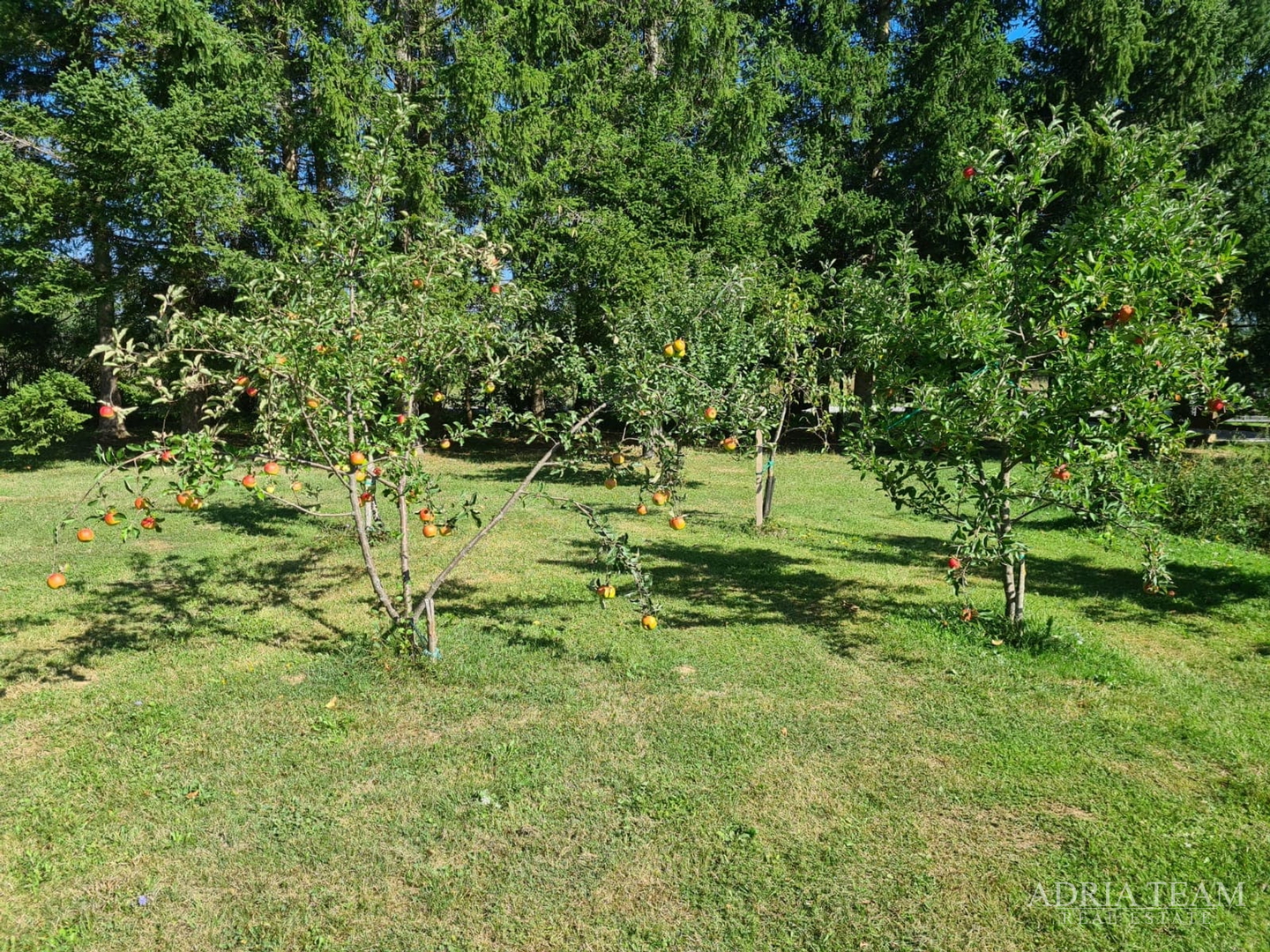 LUXURY VILLA WITH HEATED POOL AND COVERED TERRACE - 10,000 m2 LAND!