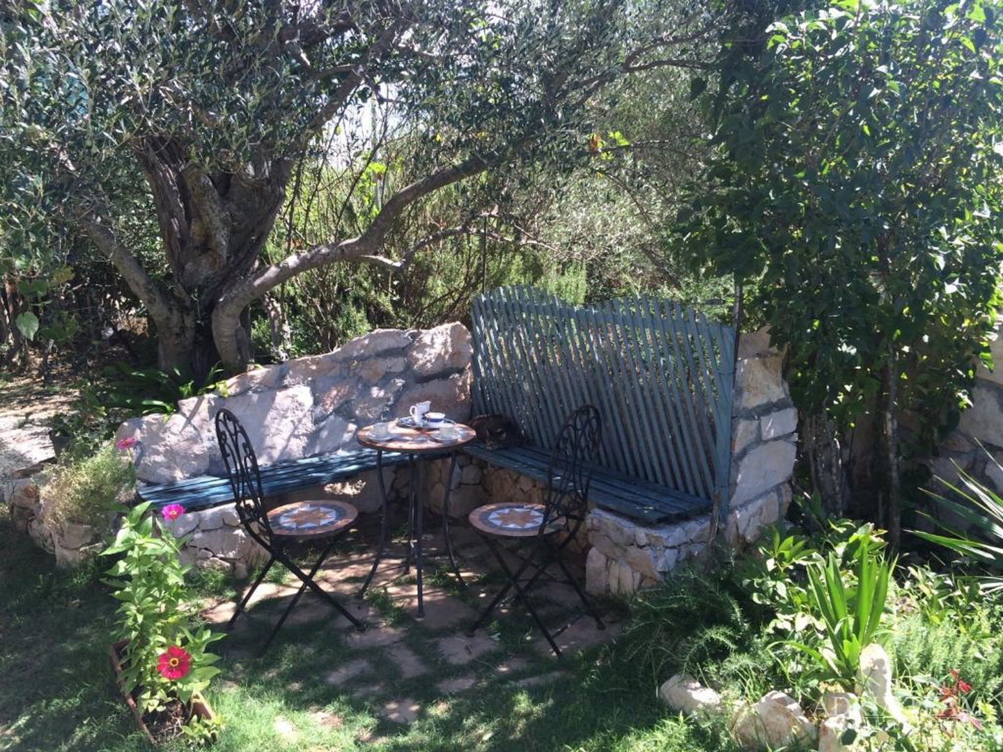 KUĆA S TRI STAMBENE JEDINICE I UREĐENIM VRTOM - NEVIĐANE, PAŠMAN