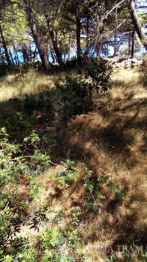 AGRICULTURAL LAND, PRIME LOCATION! 100 M FROM THE SEA, BRAČ - SPLITSKA