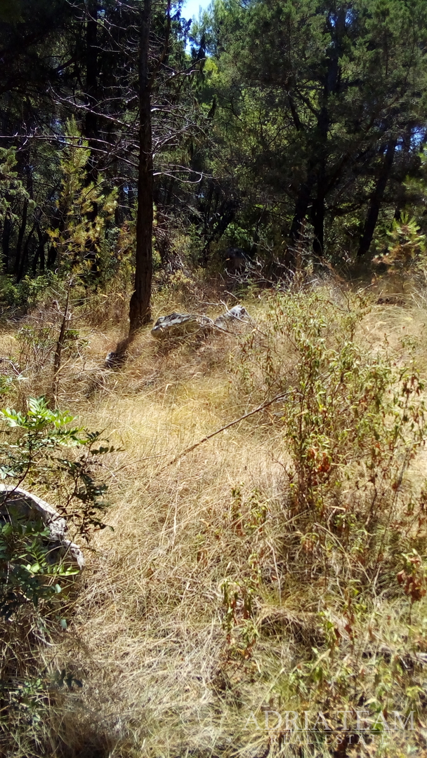 AGRICULTURAL LAND, PRIME LOCATION! 100 M FROM THE SEA, BRAČ - SPLITSKA