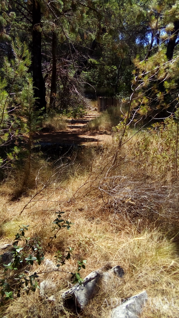 AGRICULTURAL LAND, PRIME LOCATION! 100 M FROM THE SEA, BRAČ - SPLITSKA