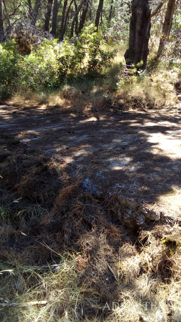 AGRICULTURAL LAND, PRIME LOCATION! 100 M FROM THE SEA, BRAČ - SPLITSKA