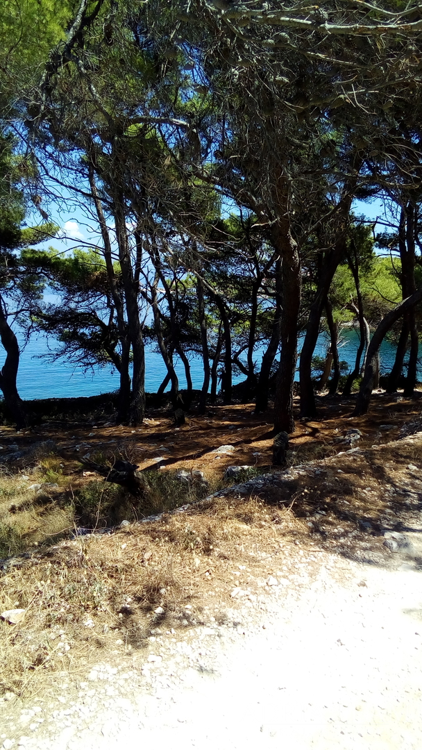 AGRICULTURAL LAND, PRIME LOCATION! 100 M FROM THE SEA, BRAČ - SPLITSKA