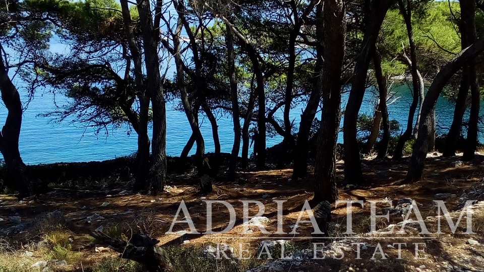 AGRICULTURAL LAND, TOP POSITION! 100 m FROM THE SEA, BRAČ - SPLITSKA