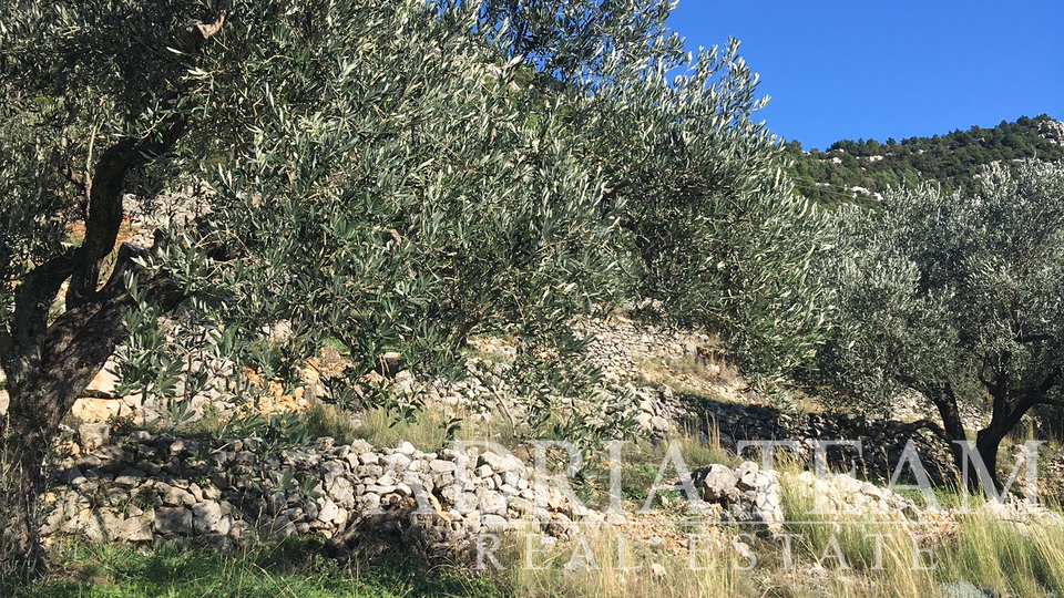 POZEMEK PRAVIDELNÉHO TVARU, 850 m OD MOŘE, BABINO POLJE - MLJET