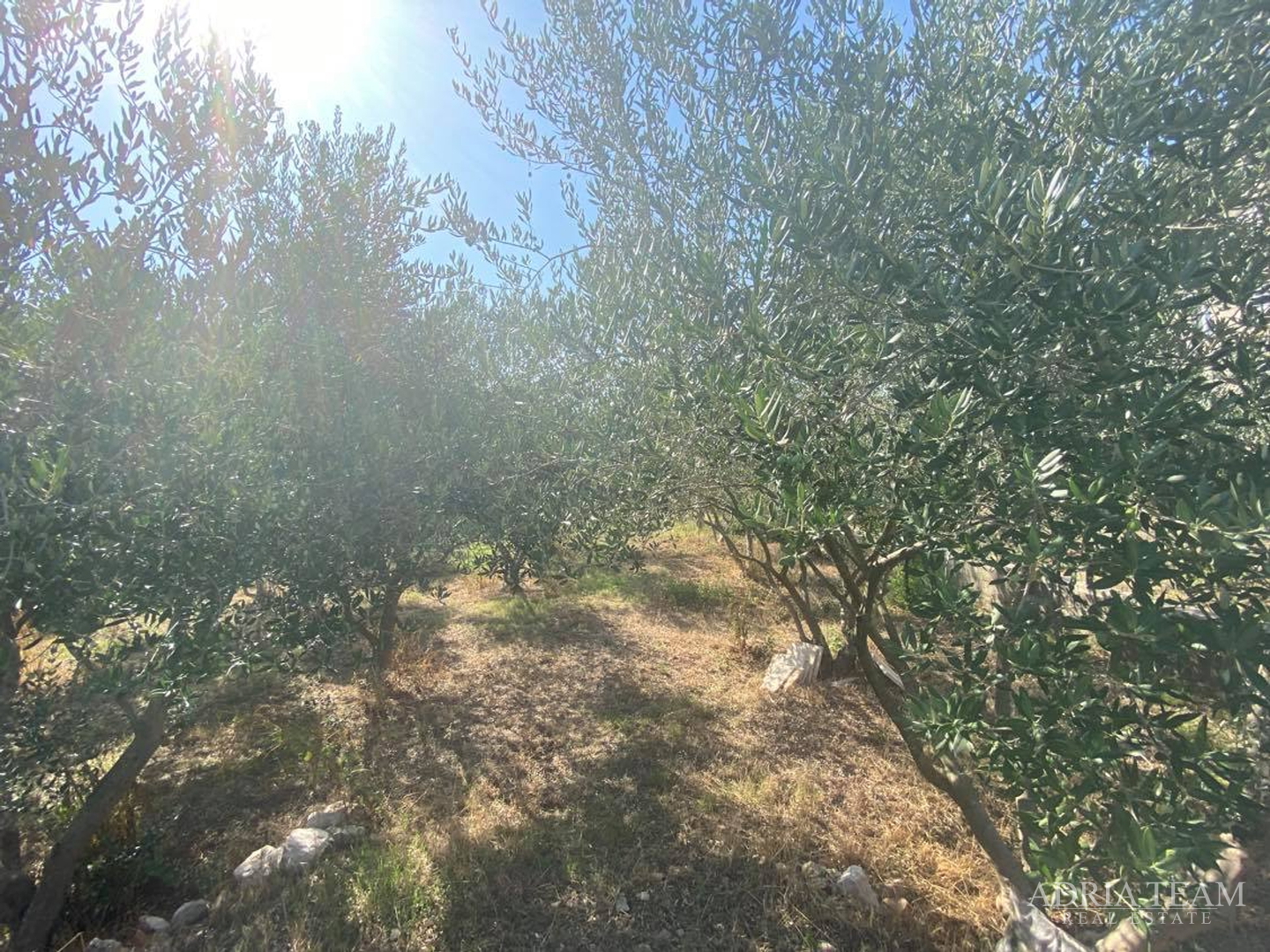 BAULAND, AUSGEZEICHNETE LAGE!! 350 m VOM MEER, ZADAR