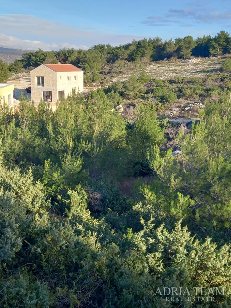 VILLA MIT SCHWIMMBAD, 200 M VOM MEER ENTFERNT, NOVIGRAD - ZADAR