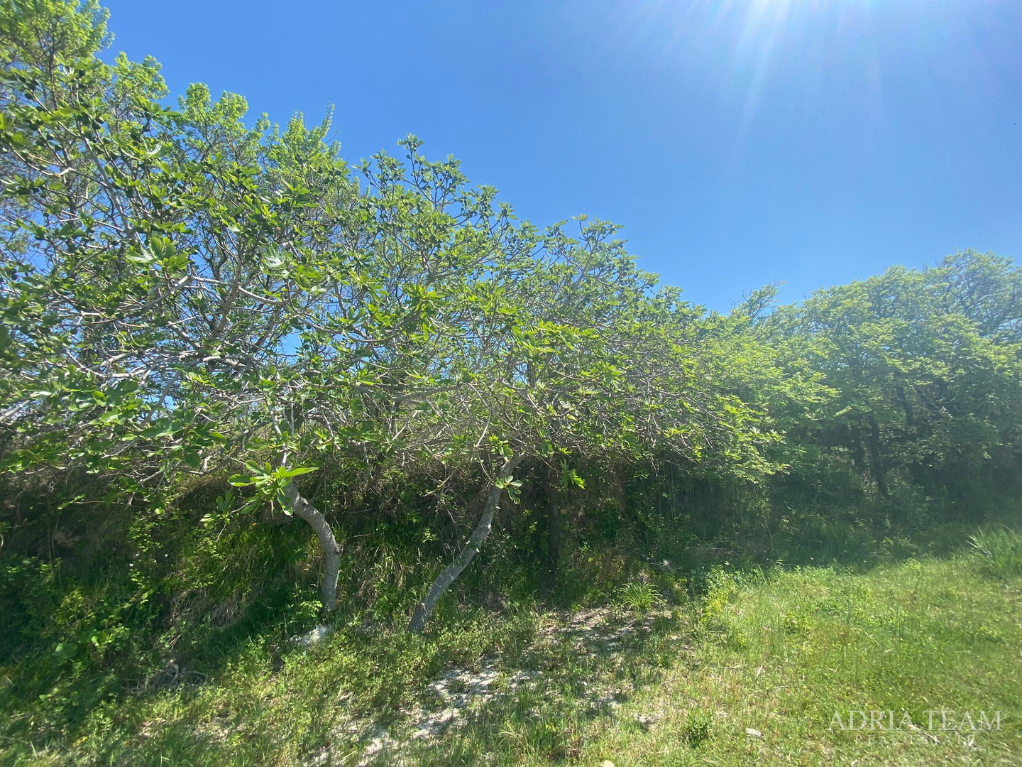 GRAĐEVINSKO ZEMLJIŠTE - 1362 m2, PRVI RED DO MORA!!! IZVRSNA PRILIKA! RAŽANAC - RTINA