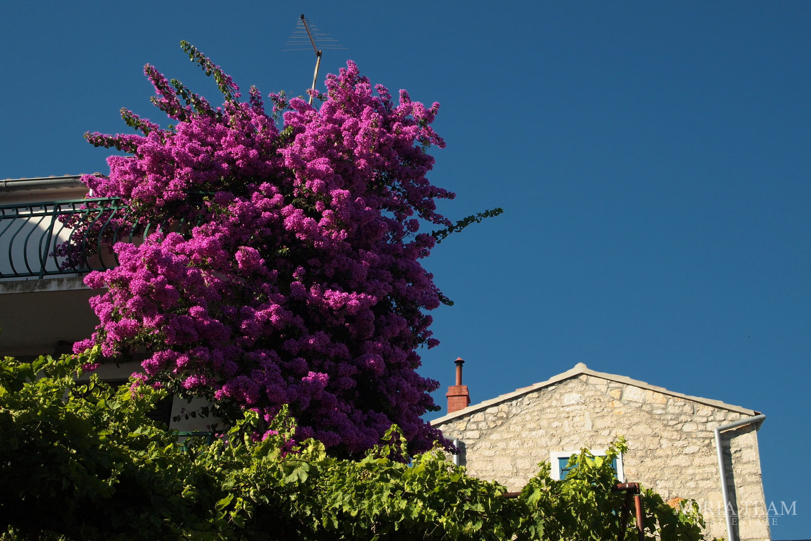 LUXURY VILLAS 2in1!! 100 M AWAY FROM THE MARINA - BETINA, MURTER