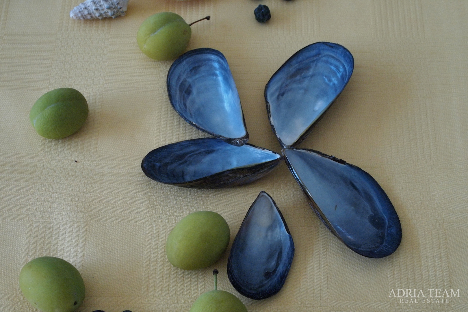 LUKSUZNA VILA 100 m OD MARINE - BETINA, MURTER