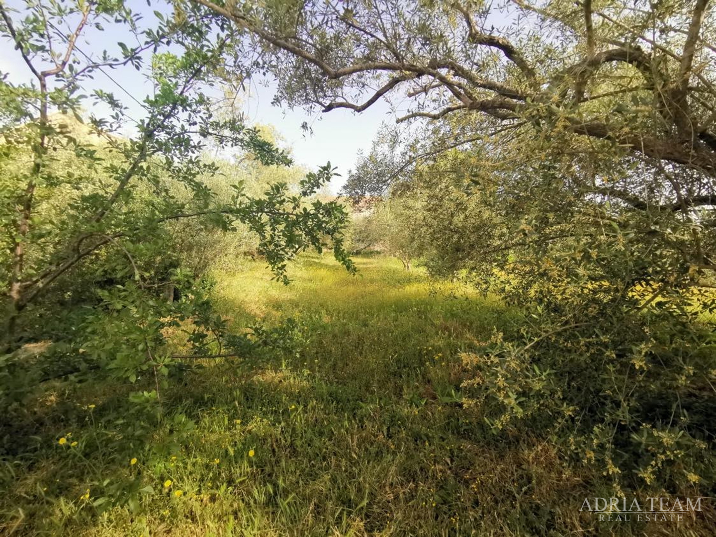 HOUSE WITH 3 APARTMENTS AND LARGE YARD - POLJANA, UGLJAN