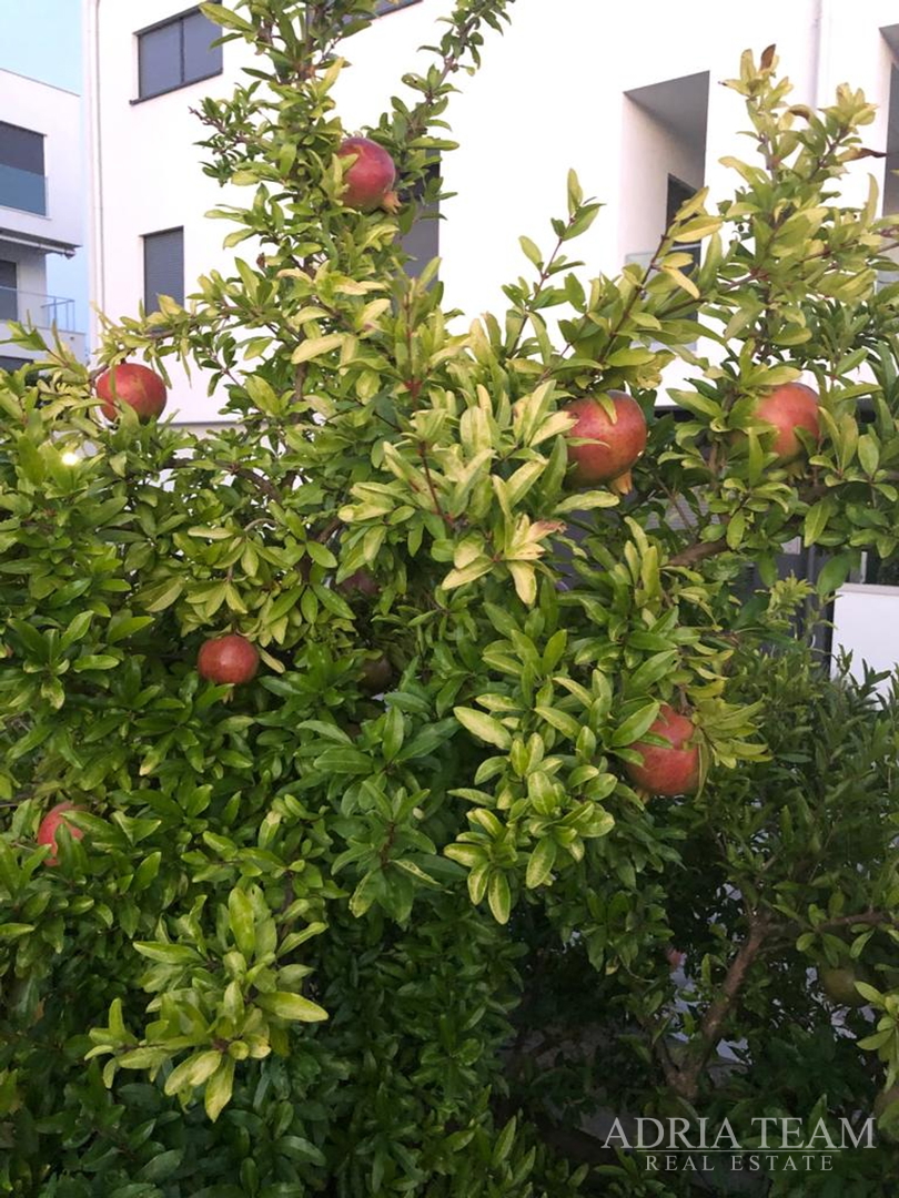 KUĆA S 10 APARTMANA, POGLED NA MORE - PETRČANE