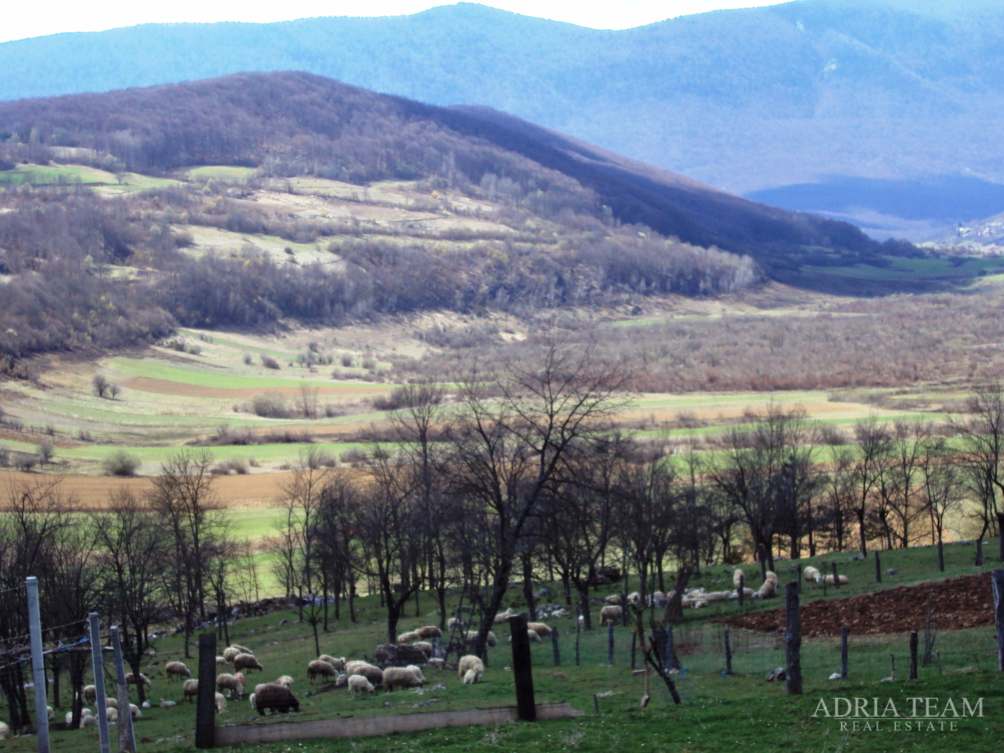 AGRICULTURAL LAND FOR SALE! PEACEFUL AND QUIET LOCATION IN THE HEART OF NATURE! SWITZERLAND - OTOČAC