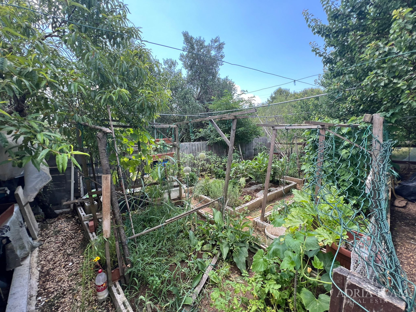 KUĆA S TRI STAMBENE JEDINICE I UREĐENIM VRTOM - NEVIĐANE, PAŠMAN