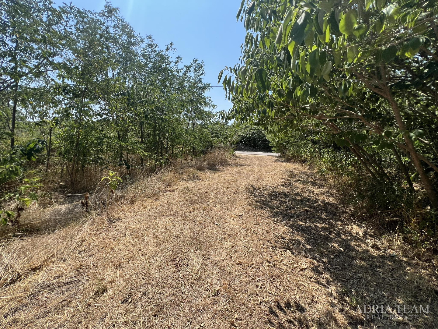 IZVRSNA PRILIKA!! GRAĐEVINSKO ZEMLJIŠTE - 2814 m2 - MIRNA I TIHA POZICIJA! POGLED NA MORE! VRSI - ZADAR