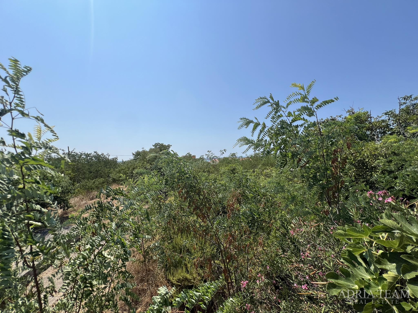 IZVRSNA PRILIKA!! GRAĐEVINSKO ZEMLJIŠTE - 2814 m2 - MIRNA I TIHA POZICIJA! POGLED NA MORE! VRSI - ZADAR