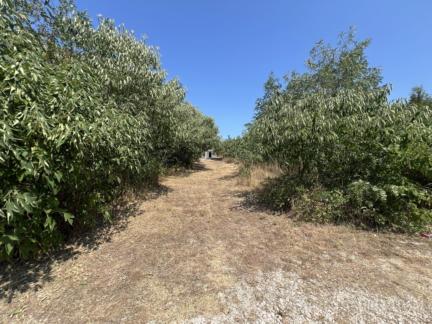 IZVRSNA PRILIKA!! GRAĐEVINSKO ZEMLJIŠTE - 2814 m2 - MIRNA I TIHA POZICIJA! POGLED NA MORE! VRSI - ZADAR