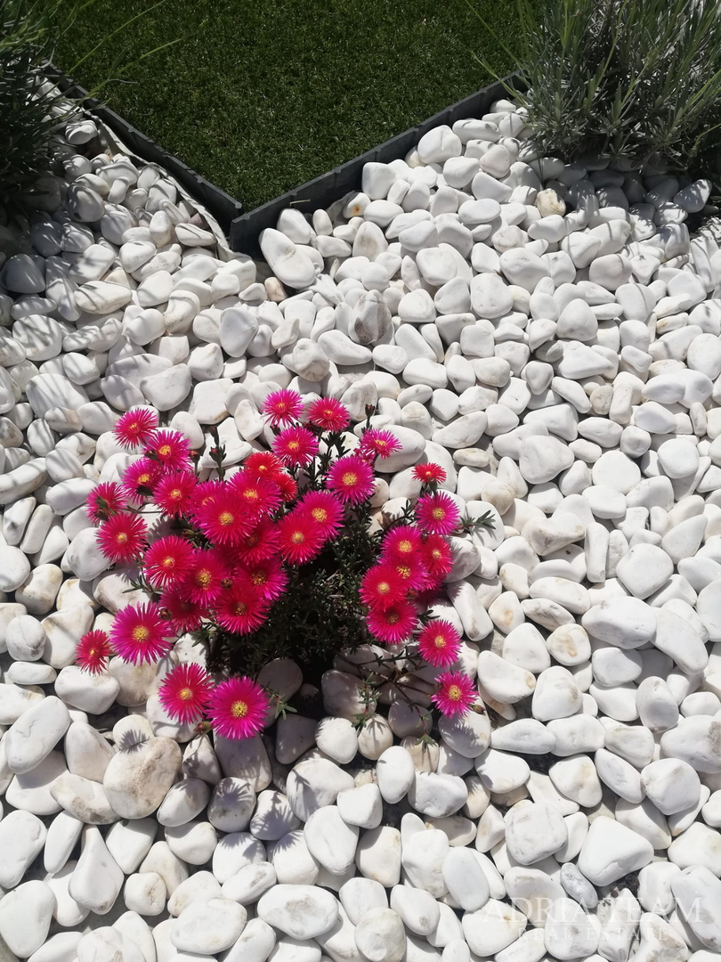 HERBSTAKTION! FERIENHAUS MIT POOL, 120 M VOM MEER ENTFERNT, NIN - ZADAR