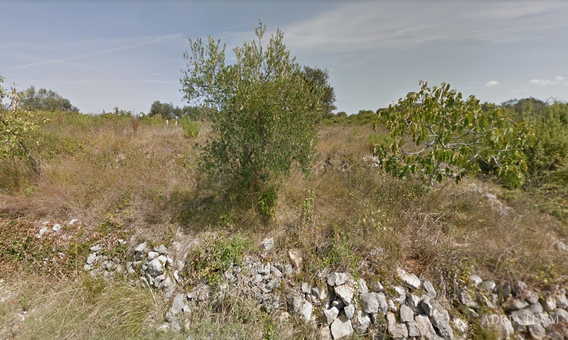 POLJOPRIVREDNO ZEMLJIŠTE POGODNO ZA NASAD MASLINA, ŠOLTA - GORNJE SELO