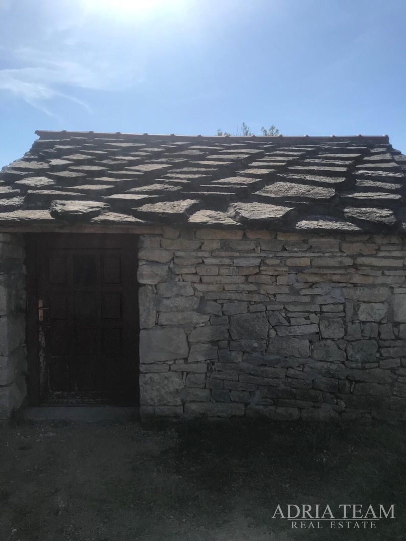 POLJOPRIVREDNO ZEMLJIŠTE S UHODANIM POSLOM U MASLINARSTVU, LEPURI - BENKOVAC