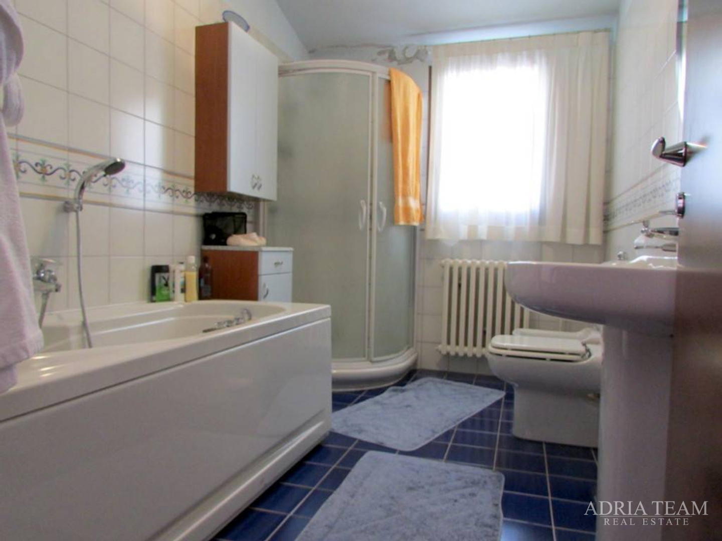 LUKSUZNA VILA S BAZENOM, RAŽANAC