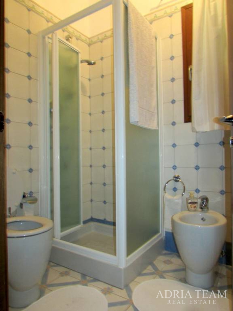 LUKSUZNA VILA S BAZENOM, RAŽANAC