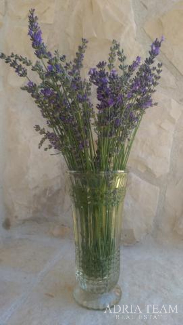 APARTMENT HOUSE WITH 7 APARTMENTS, PRIVLAKA