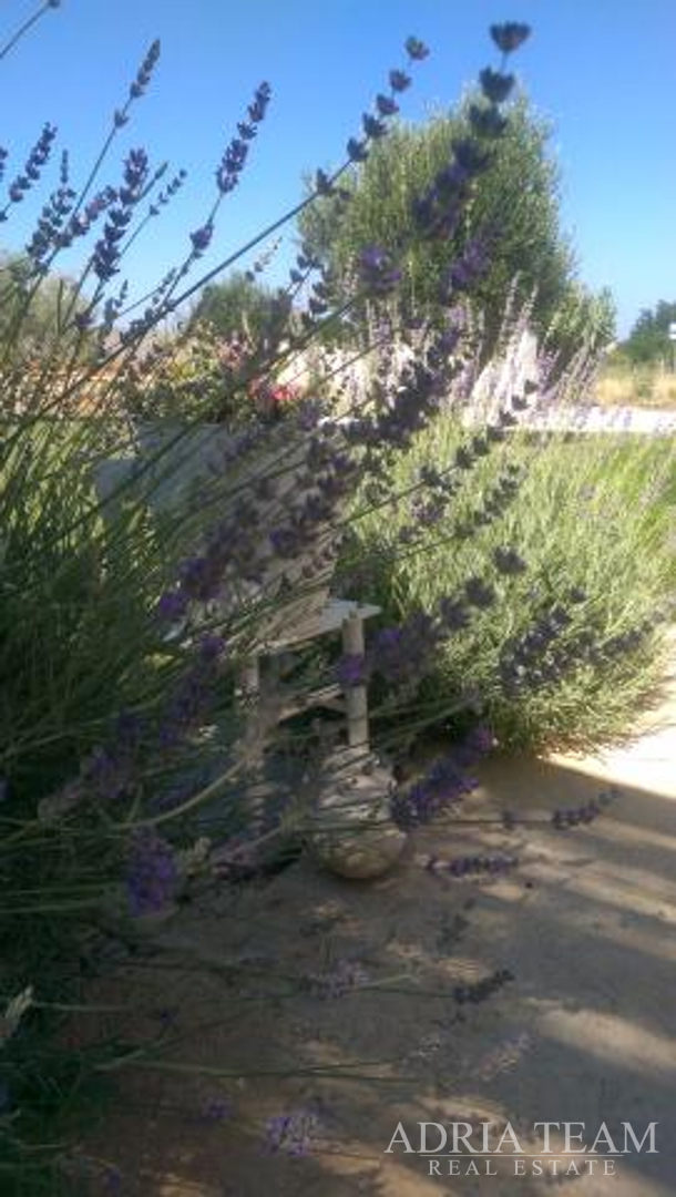 APARTMENT HOUSE WITH 7 APARTMENTS, PRIVLAKA