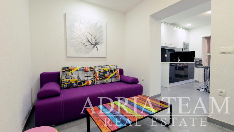 APARTMAN U SUTERENU S BAZENOM I VELIKIM VRTOM - PRIVLAKA