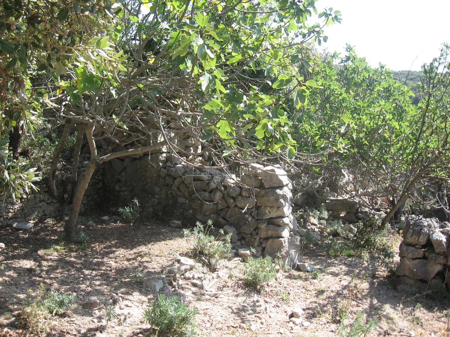 Ustrine, Otok Cres - Kuća (Ruševina), 92 m2