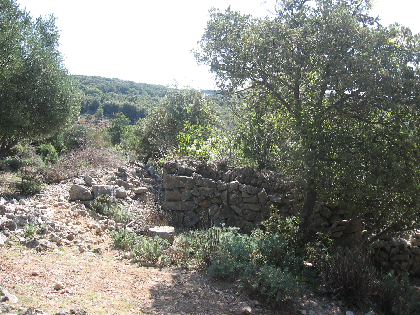 Ustrine, Otok Cres - Kuća (Ruševina), 92 m2