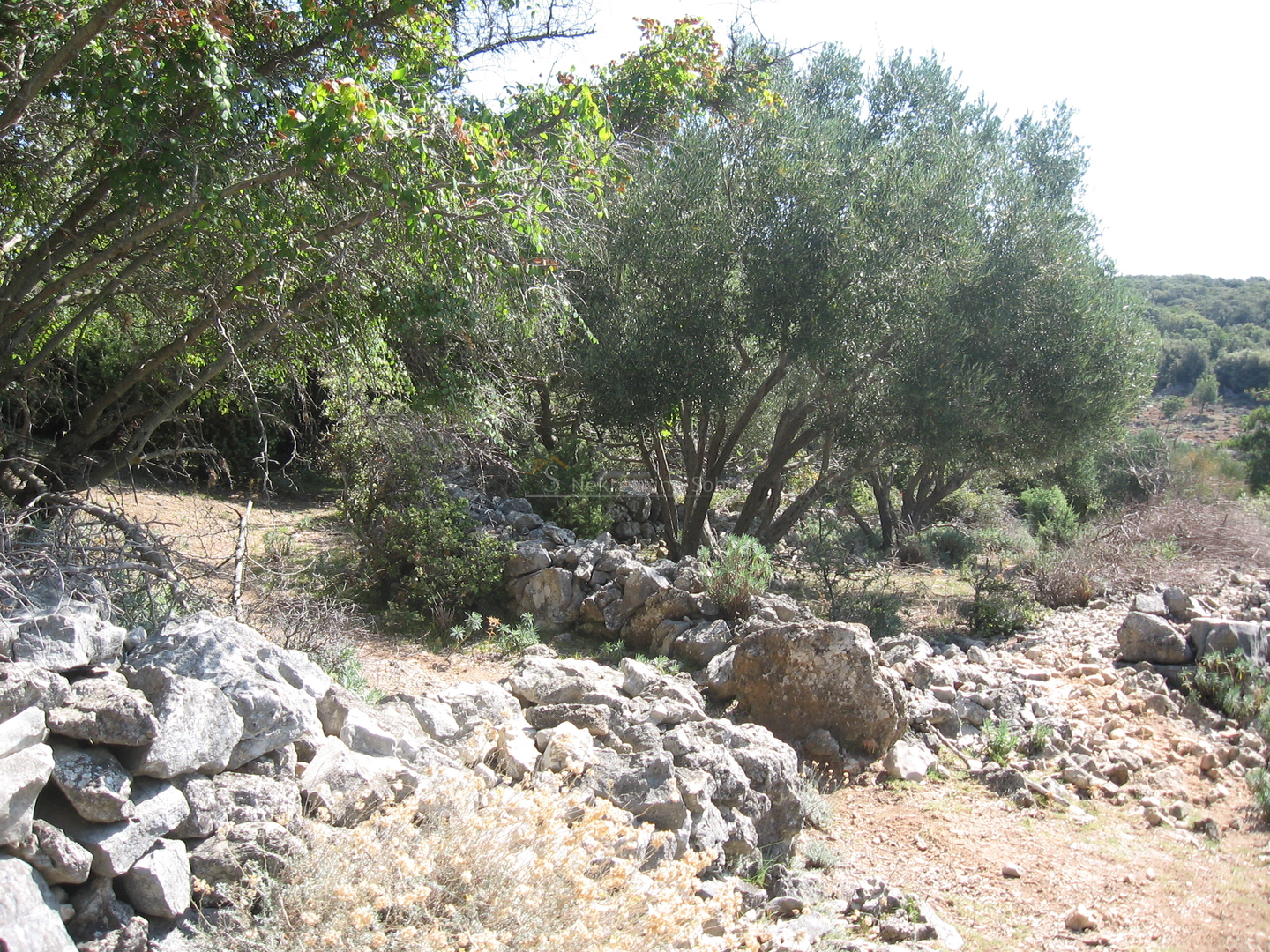 Ustrine, Otok Cres - Kuća (Ruševina), 92 m2