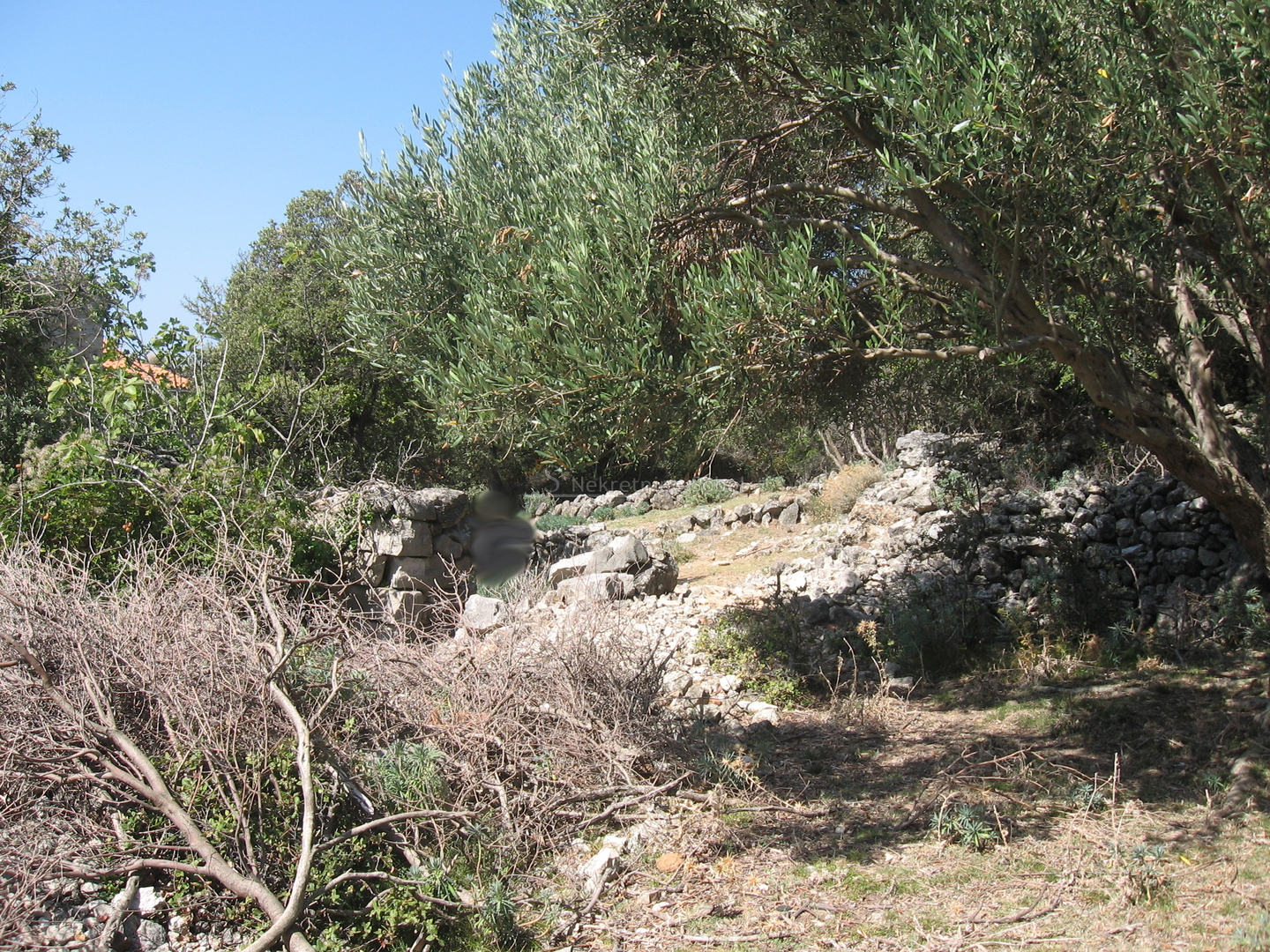 Ustrine, Otok Cres - Kuća (Ruševina), 92 m2