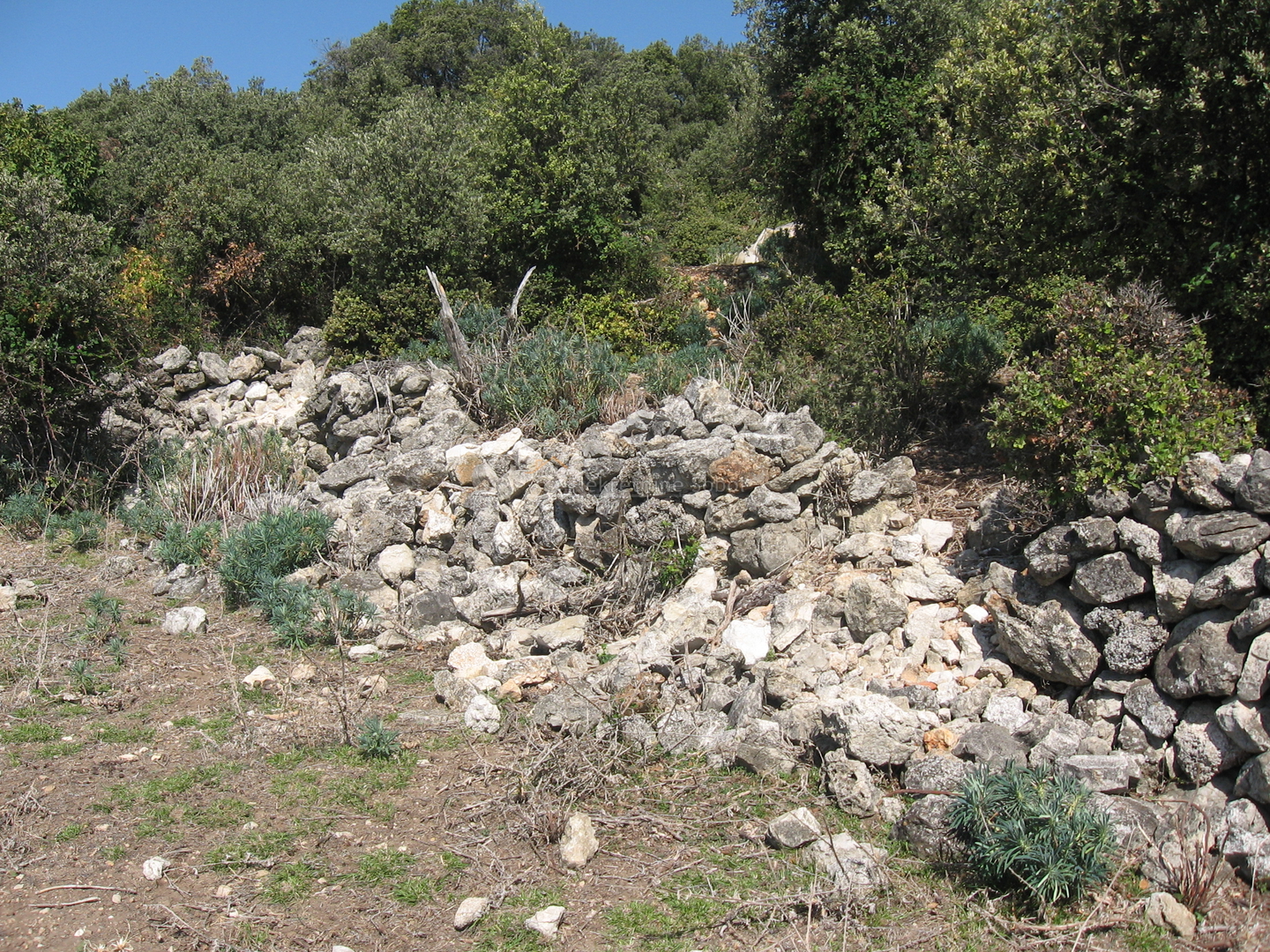 Ustrine, Otok Cres - Kuća (Ruševina), 92 m2