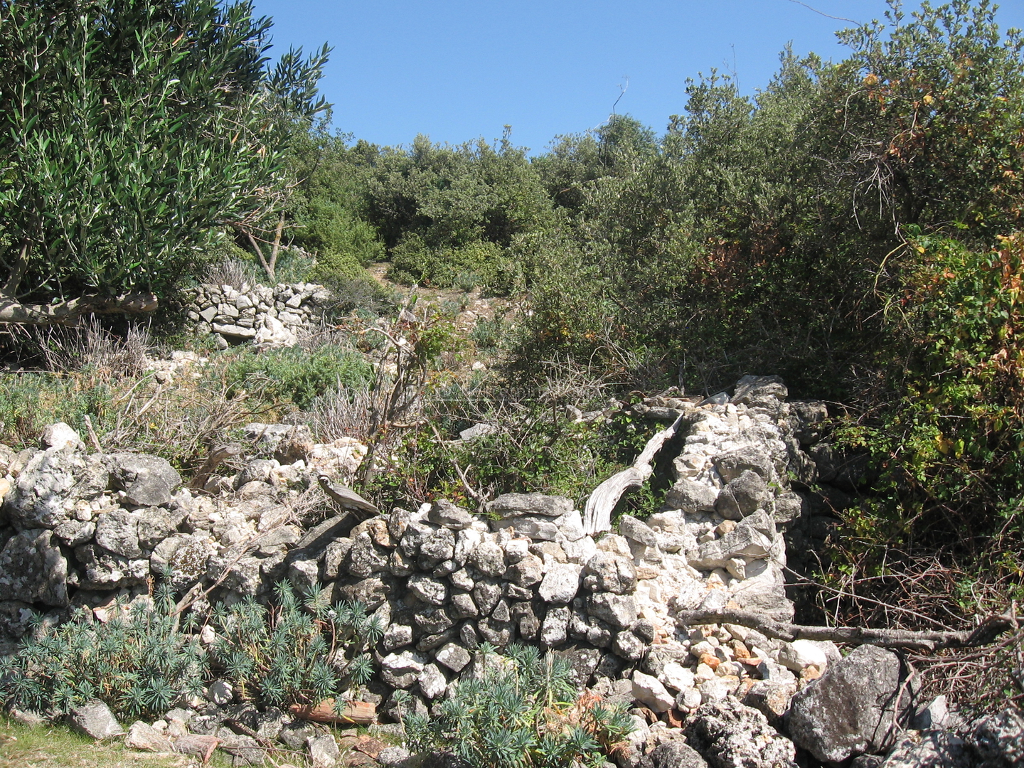 Ustrine, Otok Cres - Kuća (Ruševina), 92 m2