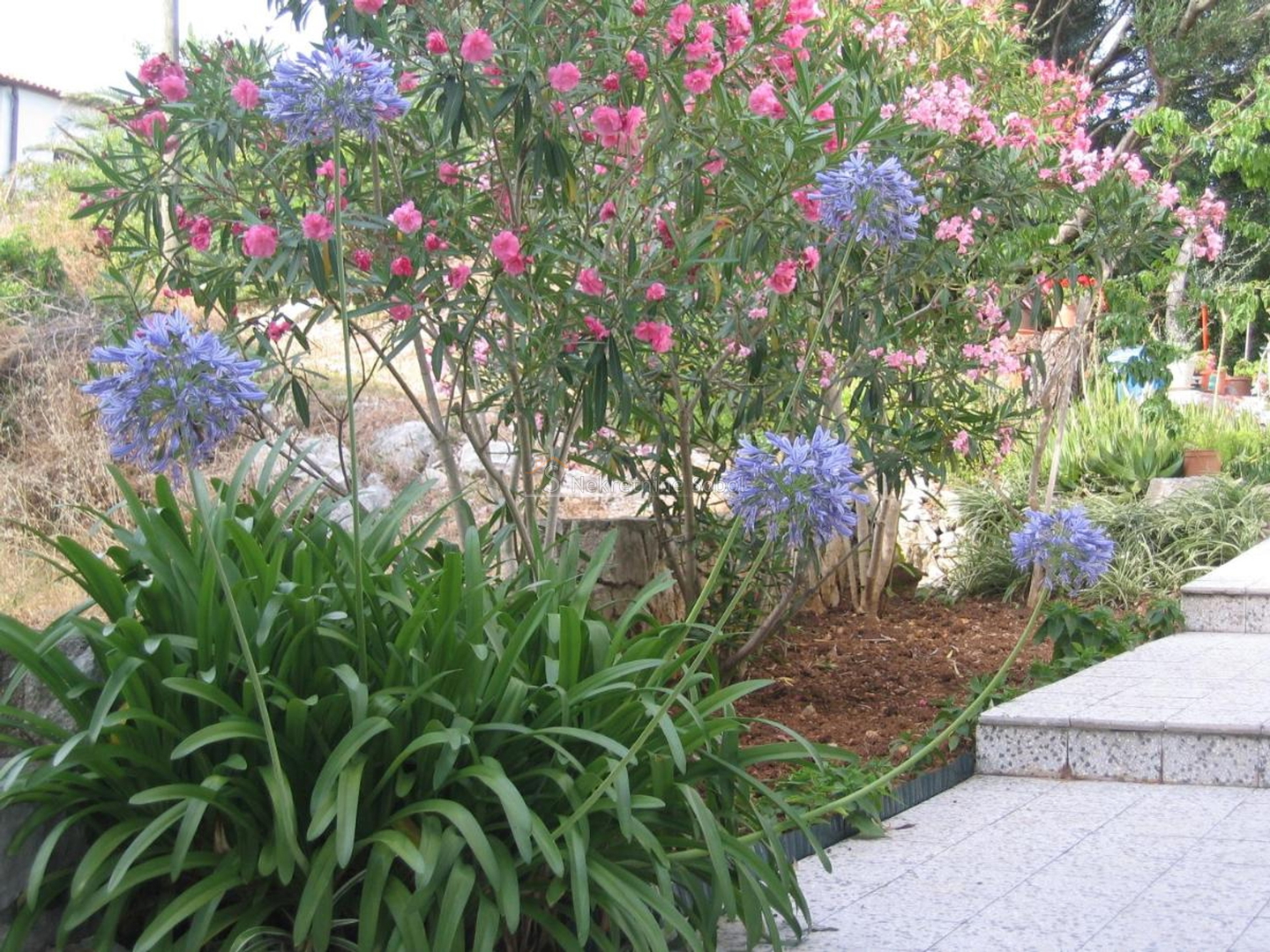 Mali Lošinj - Kuća, 467.64 m2