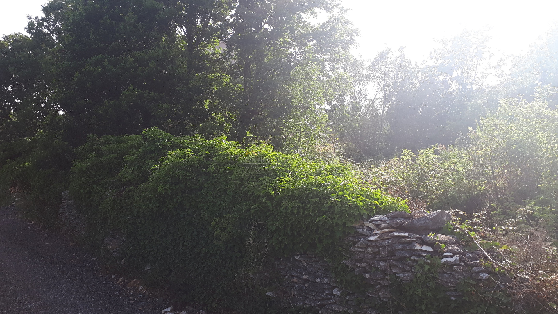 Medulin - Building land, 2896 m2