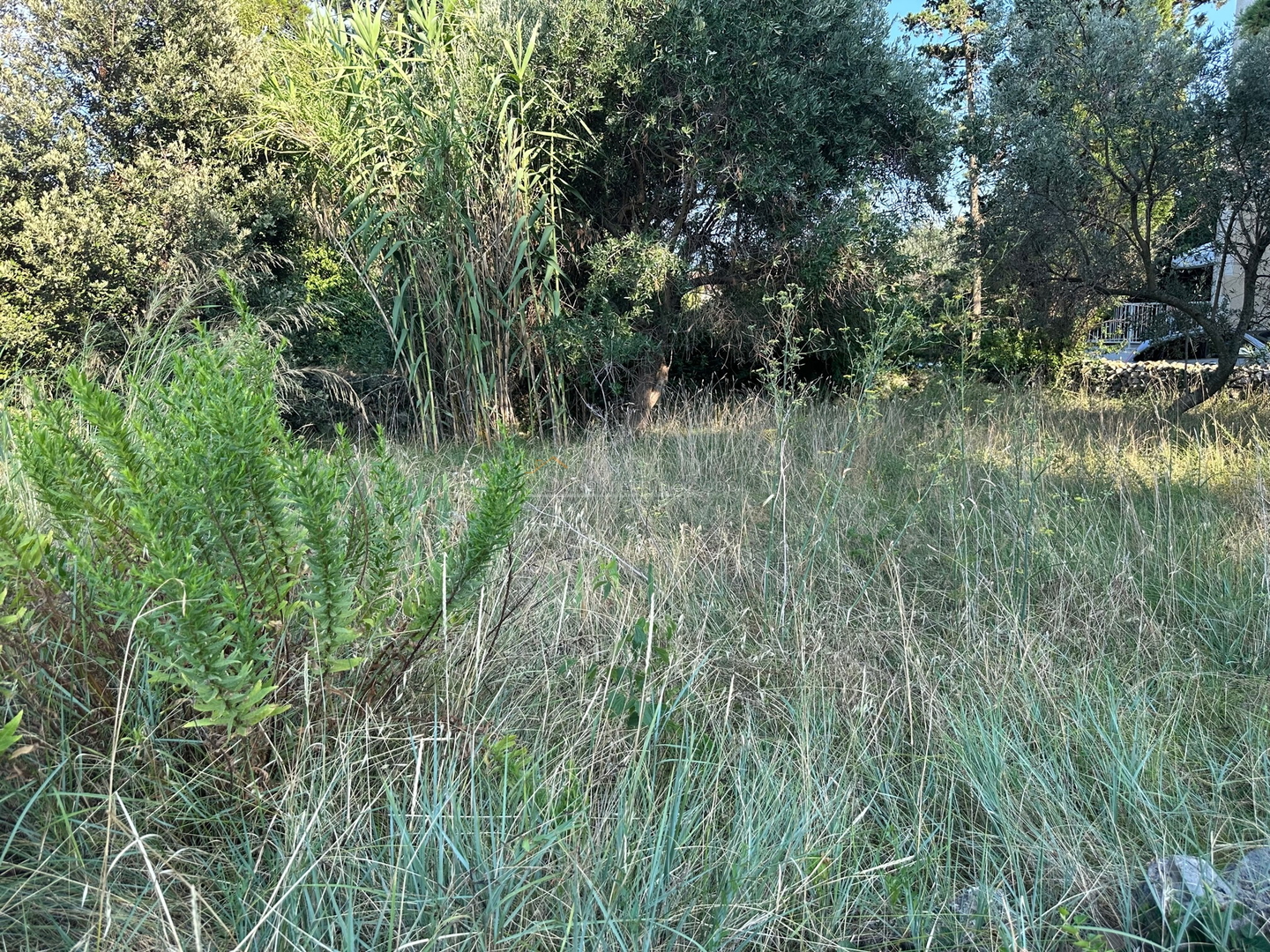 Nerezine, Otok Lošinj - Građevinsko, 1100 m2